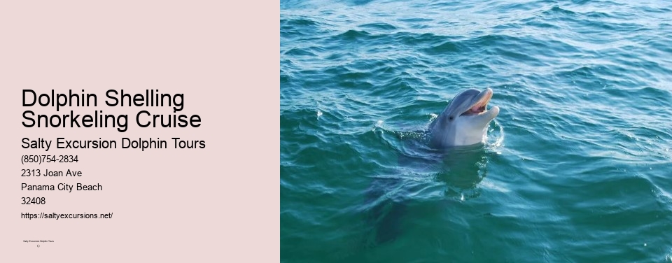 Dolphin Shelling Snorkeling Cruise