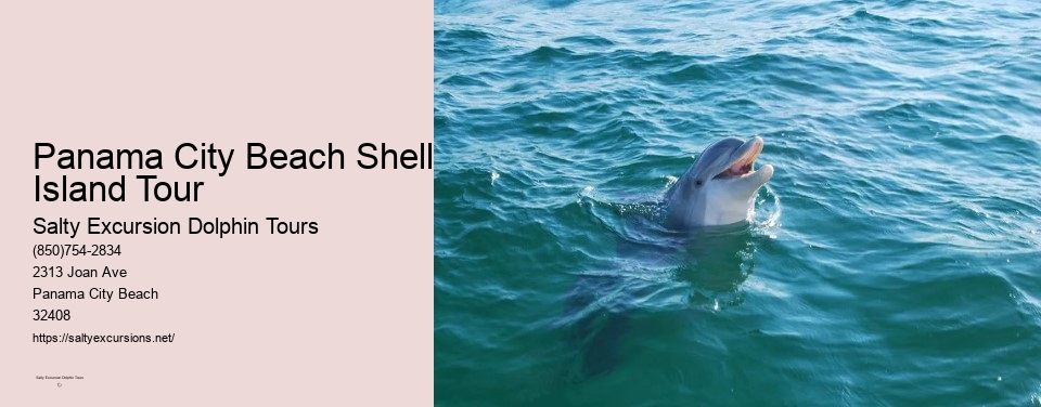 Panama City Beach Shell Island Tour