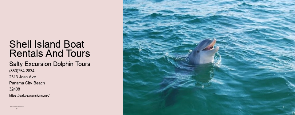 Shell Island Boat Rentals And Tours