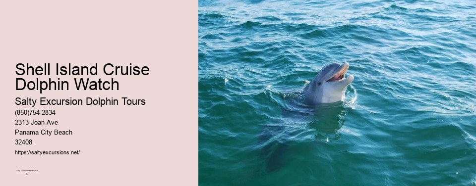 Shell Island Cruise Dolphin Watch